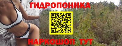 mdpv Пенза