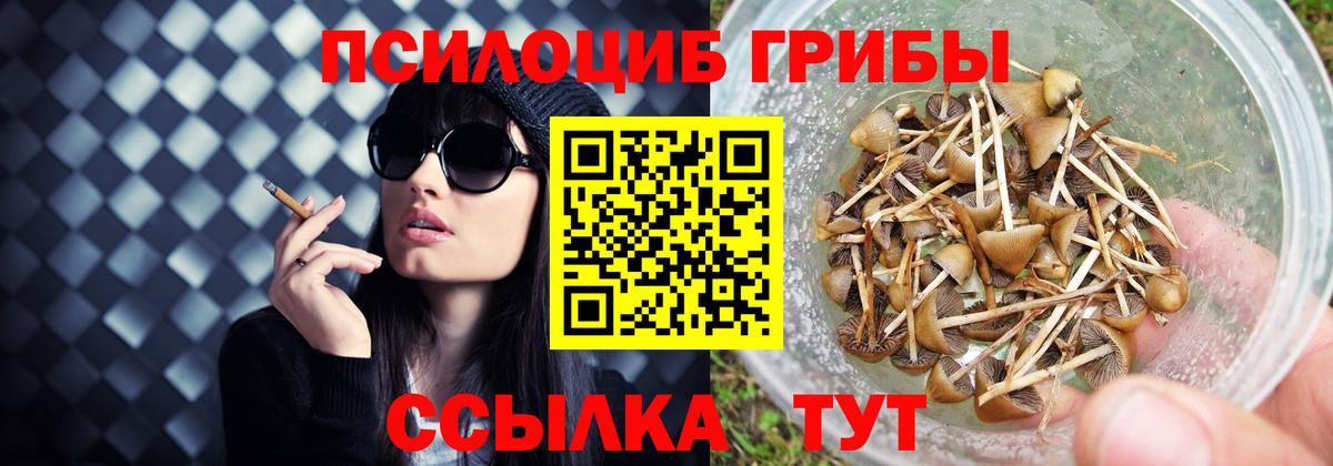 Псилоцибиновые грибы мухоморы Подольск
