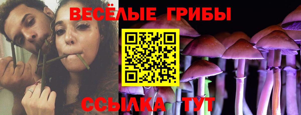 Подольск  Псилоцибиновые грибы мухоморы  Вход с VPN 